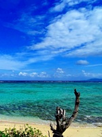 Ishigaki Island Japan 68